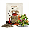 Burdock Herb Seeds - Heirloom, Open Pollinated, Non GMO - Grow Indoors, Outdoors, In Pots, Grow Beds, Soil, Hydroponics & Aquaponics