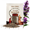 Bee Balm, Purple | 50 Seeds | Medicinal & Culinary Herb | Non GMO | Monarda media