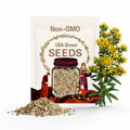 St. John's Wort Seeds (Hypericum perforatum) -Packet of 200 Seeds - Palm Beach Seed Company