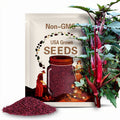 Red Burgundy Okra Seeds | Organic