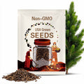 Dawn Redwood Tree Seeds - Heirloom, Open Pollinated, Non GMO - Grow Indoors, Outdoors, In Pots, Grow Beds, Soil, Hydroponics & Aquaponics