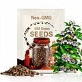 Passion Fruit Seeds - Organic, Heirloom, Non GMO - Grow Indoors, Outdoors, In Pots, Grow Beds, Soil, Hydroponics & Aquaponics