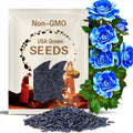 30 Seeds | Blue Dragon Rose Seeds - Perennial -Authentic Seeds-Flowers -Organic. Non GMO-Vegetable Seeds-Mix Seeds for Plant-.#1082.