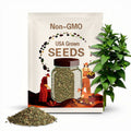 Catnip Seeds 1000+ Herb Perrenial Garden NON-GMO USA Free Ship