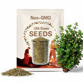 Thyme Vulgaris Heirloom Herb Seeds - Culinary Herb, Open Pollinated, Non-GMO