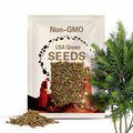 Tagasaste Tree Lucerne  - PermaCulture & Sustainable Farming options - Forage Fodder Crop - 1,120 SEEDS 1 oz Available for sale in the USA
