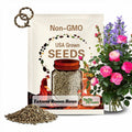 30 Seeds | Tatami Room Rose Seeds - Perennial - Authentic Seeds - Mix Seeds - Late Winter to Early Spring Planting Time - . #1162