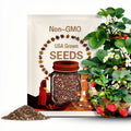 110s| Red Strawberry Seeds – Garden Strawberry Fragaria, Heirloom Organic Non-GMO Sweet Juicy Berries, Easy to Grow Fruit Seeds#5006.