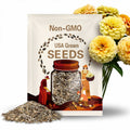 Zinnia, Isabellina Flower Seeds - 100 Heirloom Seeds, Buttery Yellow, Cut Flowers, Pollinator Garden, Seed Packets, Open Pollinated, Non-GMO