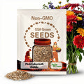 40 Seeds | Pink Labyrinth Dahlia Seeds | Vibrant Perennial | Easy to Grow | Gardens & Bouquets | Non-GMO | Pollinator-Friendly#D013.