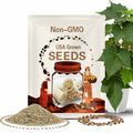 Luffa Ridge Gourd Heirloom Seeds - Chinese Okra, Summer Squash, Yellow Flowers, Vining, Open Pollinated, Non-GMO