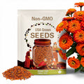 Zinnia, Orange King Heirloom Seeds - Flower Seeds, Cut Flowers, Butterfly Garden, Open Pollinated, Non-GMO