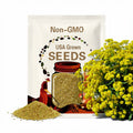 Basket of Gold Seeds – Heirloom Groundcover, Vibrant Golden-Yellow Perennial Flowers, Drought-Tolerant, Easy to Grow | 100 Seeds