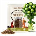 Catskill Brussels Sprout Seeds - Heirloom, Open Pollinated, Non-GMO