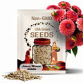 Jowey Winnie Dahlia  Seeds - Authentic Seeds - Clumping - Dahlia Garden - Summer Blooming - Easy To Grow  #D100