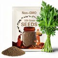 3000+ Cai be xanh lon Large Leaf Bamboo GAI CHOI Mustard Green seeds 大葉竹芥菜; 2