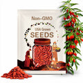 Goji Berry ( Wolfberry) | 50 Seeds | Medicinal | Culinary | Heirloom | Lycium barbarum