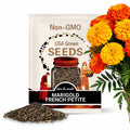Marigold, French Petite | 100 Seeds | Medicinal Herb | Heirloom | Tagetes patula