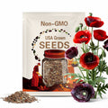 Papaver Somniferum Seeds: Breadseed Poppy Flower - Mixed Colors