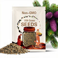 Korean Fir Tree (Abies Koreana) Seeds