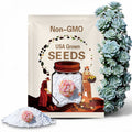 Echeveria Ice Green Seeds: Rare Pink Succulent (10 Seeds)
