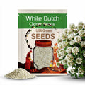 White Dutch Clover Cover Crop Seeds | NON-GMO | Heirloom | Fresh Flower Seeds