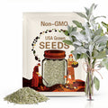 White Sage Seeds - Ceremonial Sage, Heirloom Seeds, Sacred Sage, Smudge Sage, Medicinal Herb, Culinary Herb, Non-GMO