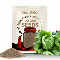 Iceberg Lettuce Seeds 600+ Crisphead Vegetable Garden NON-GMO USA