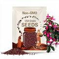 50pcs/bag Fuchsia Seeds Potted Flowers seeds,bonsai seeds. (#9730)