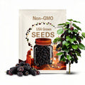 Black Mulberry Seeds – Heirloom Fruit Tree, Morus Nigra, Sweet Edible Berries for Jam, Homestead Garden | 50 Seeds