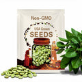 Broad Windsor Fava Bean Seeds – Heirloom, Hardy Edible Beans, Nutrient-Rich, Delicious and Great for Soil Building | 10 Seeds