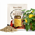Spaghetti Squash Seeds: Heirloom Winter Squash, Non-GMO