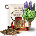 Good King Henry (Chenopodium bonus-henricus) SEEDS