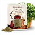 Cilantro Santo Seeds (Coriander) – Heirloom Culinary and Medicinal Herb, Non-GMO & Slow Bolting | 100 Seeds