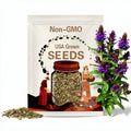 Self Heal (Heal All) Seeds - 50 Heirloom Seeds, Medicinal Herb Seed, Heart-of-the-Earth, All Heal, Herbal Remedy, Prunella vulgaris, Non-GMO