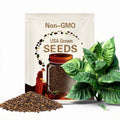 Criollo-98 Tobacco Seeds: Non-GMO Nicotiana Tabacum Free Shipping No Tracking Read Description