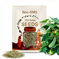 Cucumber Seeds - Bush Variety