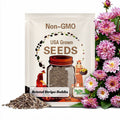 Bristol Stripe Dahlia Seeds-Pollinator Friendly- Open Pollinated - Heirloom - Flower Seeds - Mix Seeds to Plant - .#D085