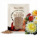 40 Seeds | Grand Prix Dahlia Seeds - Pollinator Friendly- Open Pollinated - Heirloom - Flower Seeds - Mix Seeds to Plant - .#D058
