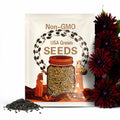 40 Seeds | Black Narcissus Dahlia Seeds - Pollinator Friendly- Open Pollinated - Heirloom - Flower Seeds - Mix Seeds to Plant - .#D063